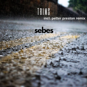 Trims (Original Mix)