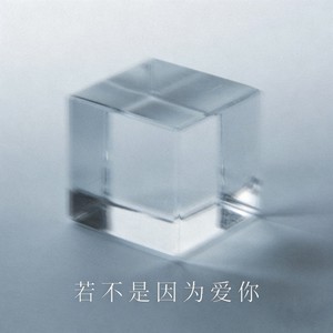 若不是因为爱你