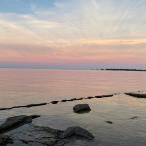 Purple Skies(feat. Billy Macadamia & Bello)