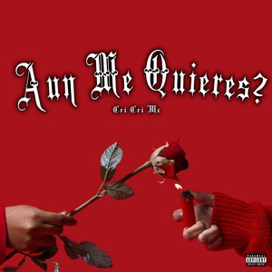 Aun Me Quieres? (Explicit)