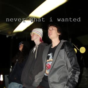 Never What I Wanted