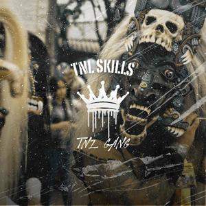 TNL Skills (feat. SkarDaBadBoyz, Alipus, Cheko Flama & TNL Gang) [Explicit]