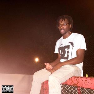 CheeseCurls202 - Twenties (Explicit)