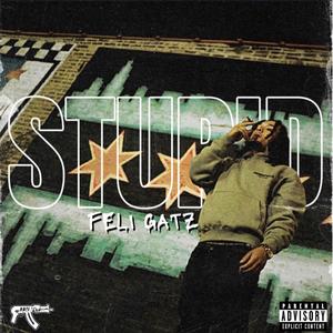 Stupid (Explicit)