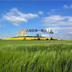可可佳 - 人间总有一两风 (女版伴奏)