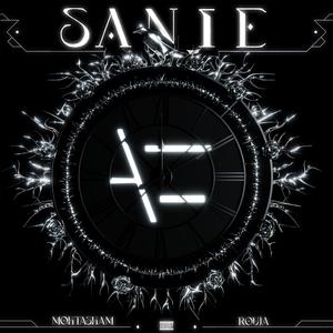 Sanie (Explicit)