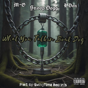 What You Talkin' Bout Dog (feat. Snoop Dogg & L Don) [Explicit]