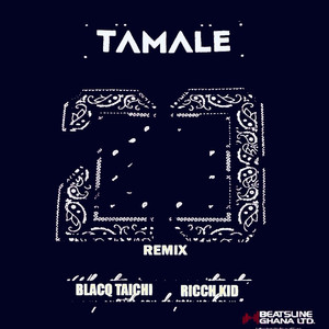 Tamale 23 (Remix) [Explicit]