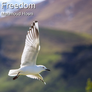 Freedom