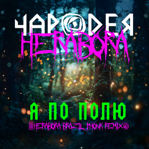 Я по полю (Herabora Brazil Phonk Remix)