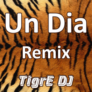 Un Dia (Remix)