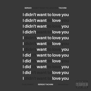 I Didn't Want To Love You (Explicit)