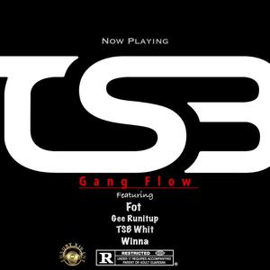 Gang Flow (feat. Future of Texas, Gee Runitup & Winna) [Explicit]