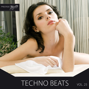 Techno Beats, Vol.25