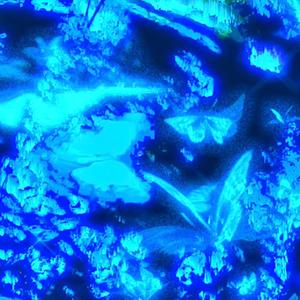 Butterflies (Explicit)