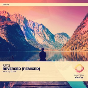 Reversed (Zuubi Remix)