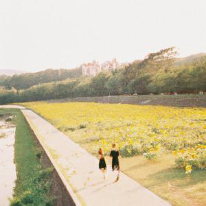 el girasol de la mañana (Explicit)