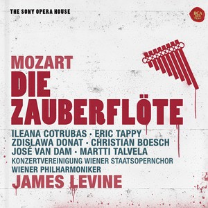 Die Zauberflöte, K. 620 - Ach, ich fühl's
