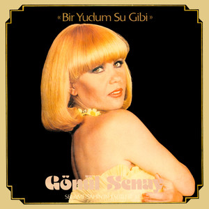 Canım Sevmek İstiyor