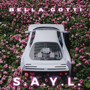 S. A. Y. L. (Something About Your Love)