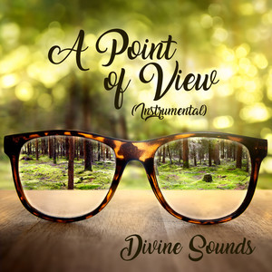 A Point of View (Instrumental)