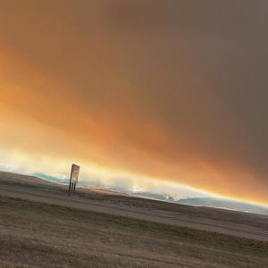 The Thing With Feathers (Dustt) (Explicit)