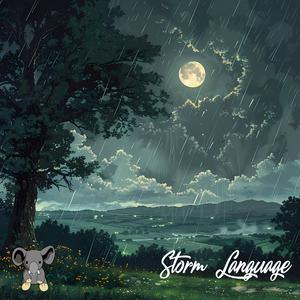 Storm Language