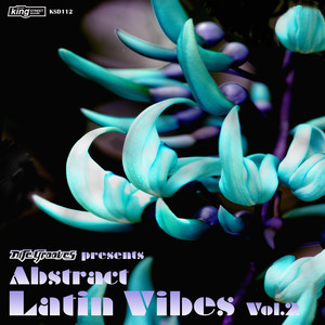 Abstract Latin Vibes, Vol. 2