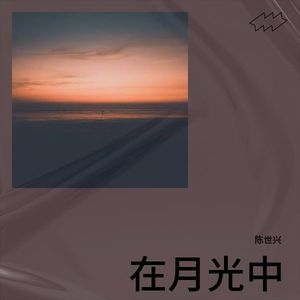 在月光中