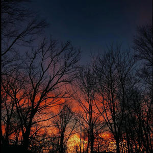 Torment (feat. Pich) (Explicit)