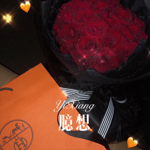 人非圣贤 (DJ版)