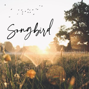 Songbird