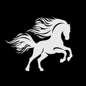 餐厅邻桌的那位女士