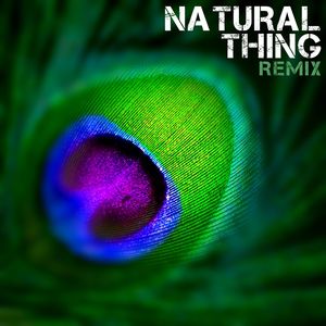 Natural Thing (Alex Butcher Mix)