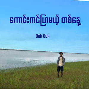 ကောင်းကင်ပြာမယ့်တစ်နေ့