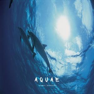 Aquae