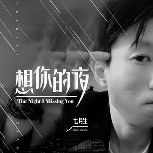 想你的夜 (伴奏)