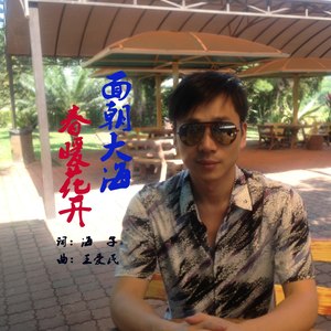 面朝大海，春暖花开 (伴奏)