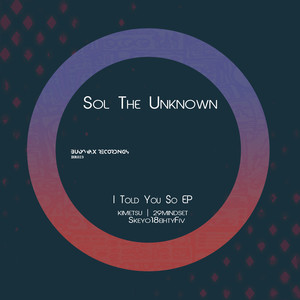 I Told You So (29 MINDSET Remix)