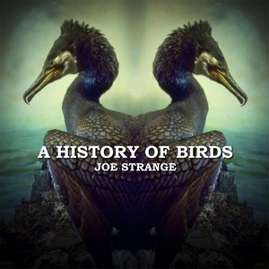 A History of Birds