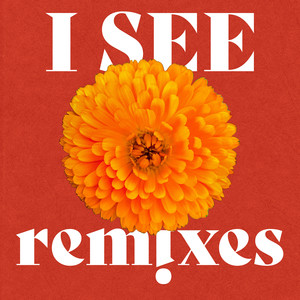 I See (Georges Remix)