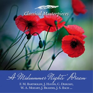 Flight of the Bumble Bee