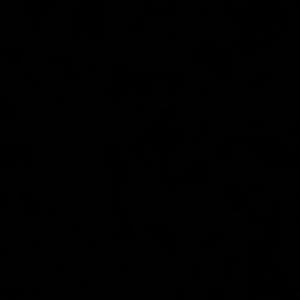 Blacked files