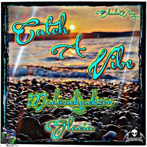 Catch A Vibe (feat. Glacia & ShadoWing)