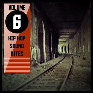 "Hip Hop Sound Bites,Vol.6"