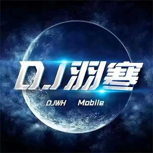 多情的人总被无情的伤