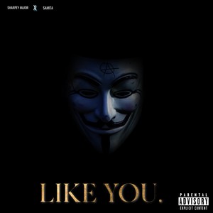 Like You (Explicit)