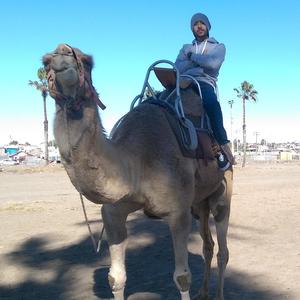 Fernando El Sobreviviente