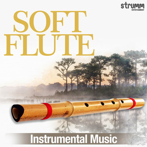 Soft Flute Instrumental Music