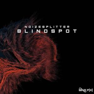 Blindspot